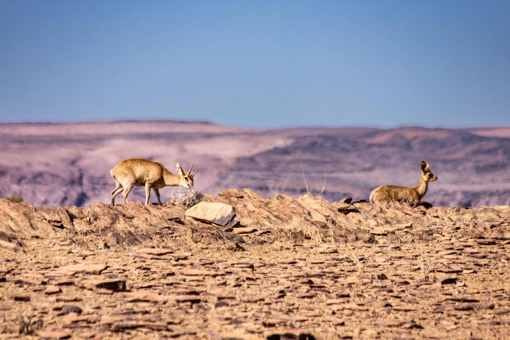 Fish River Lodge Ariamab エクステリア 写真